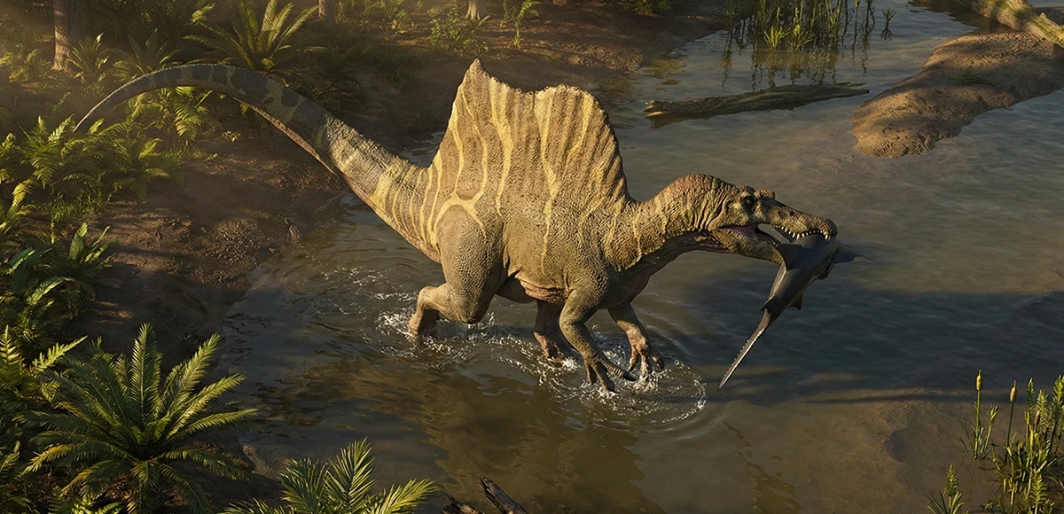 Which is the largest carnivorous dinosaur?