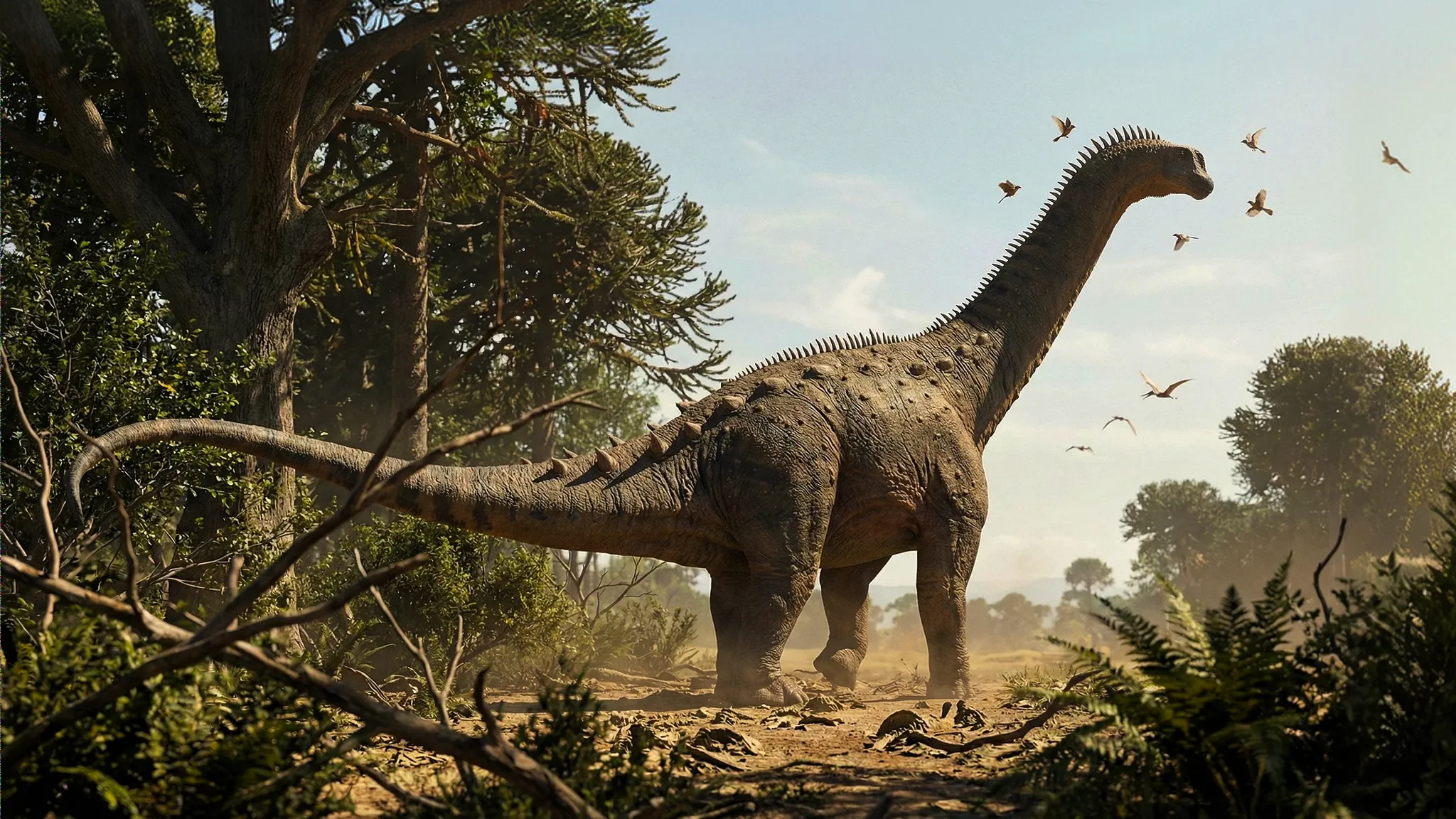 Alamosaurus sanjuanensis | Lézard d'Alamo | 70 à 66 millions d'années