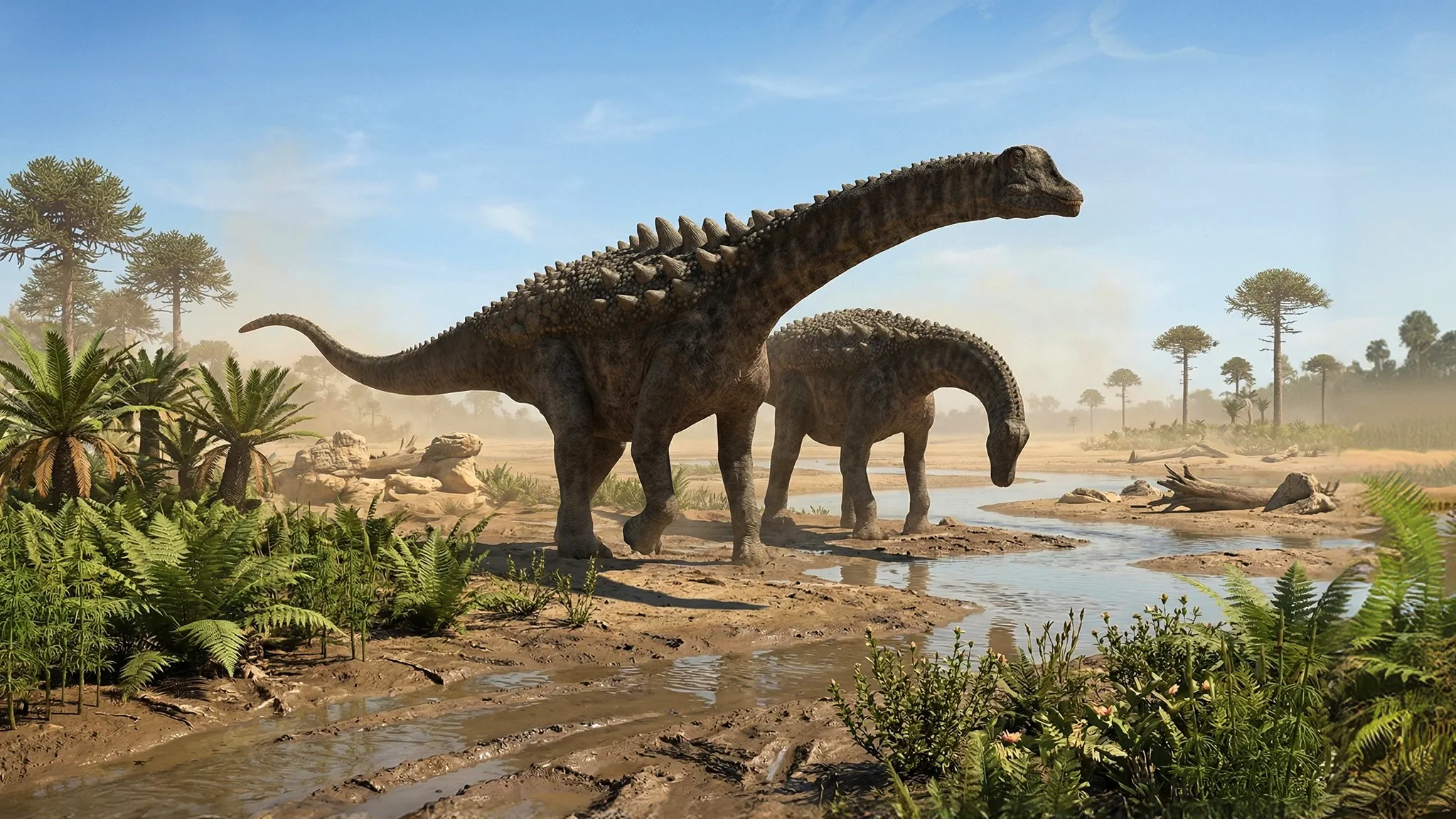 Ampelosaurus atacis | Lagarto de Vid | 70 a 66 millones de años