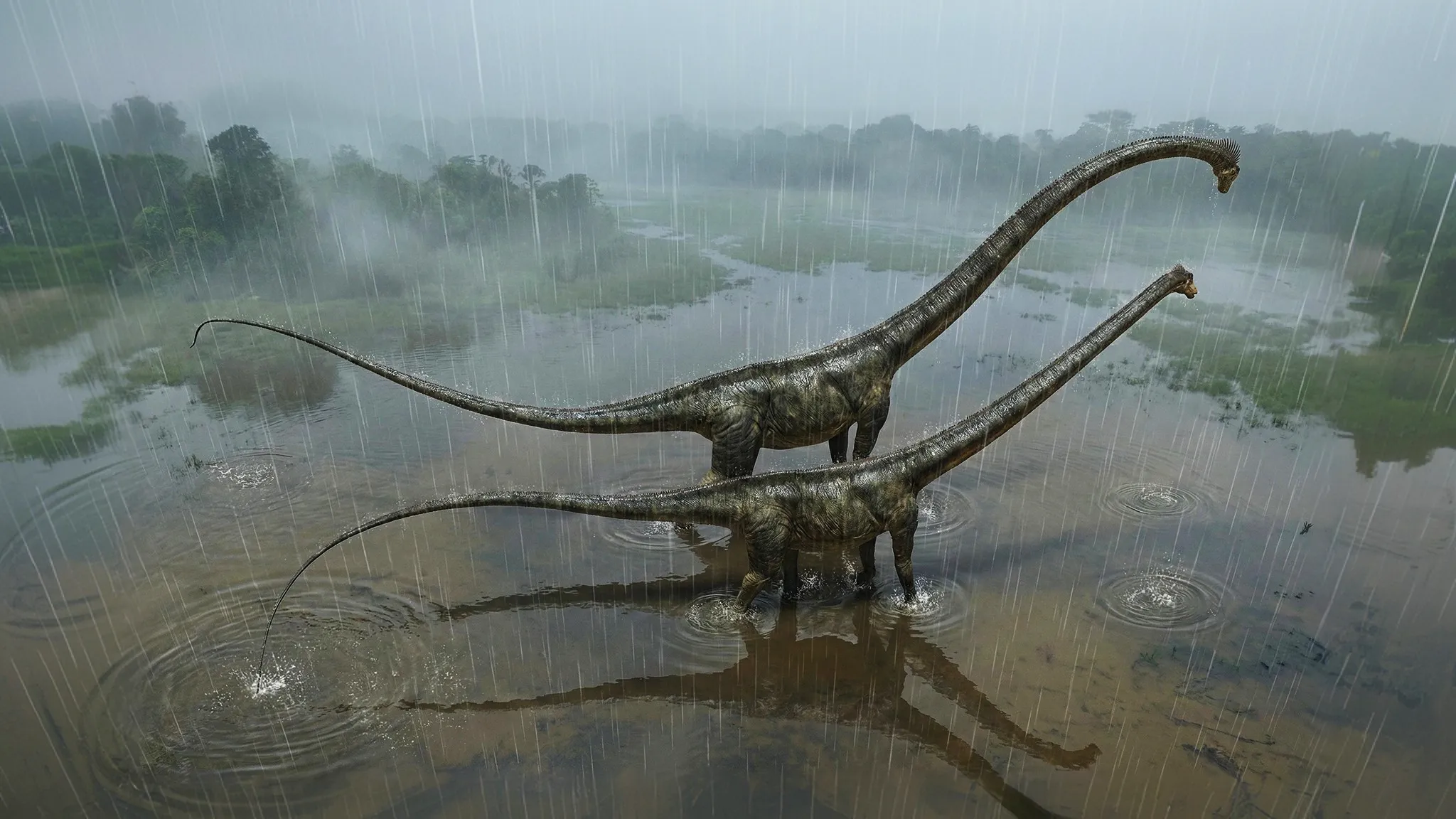 Barosaurus lentus | Heavy lizard | 150 to 145 million years ago