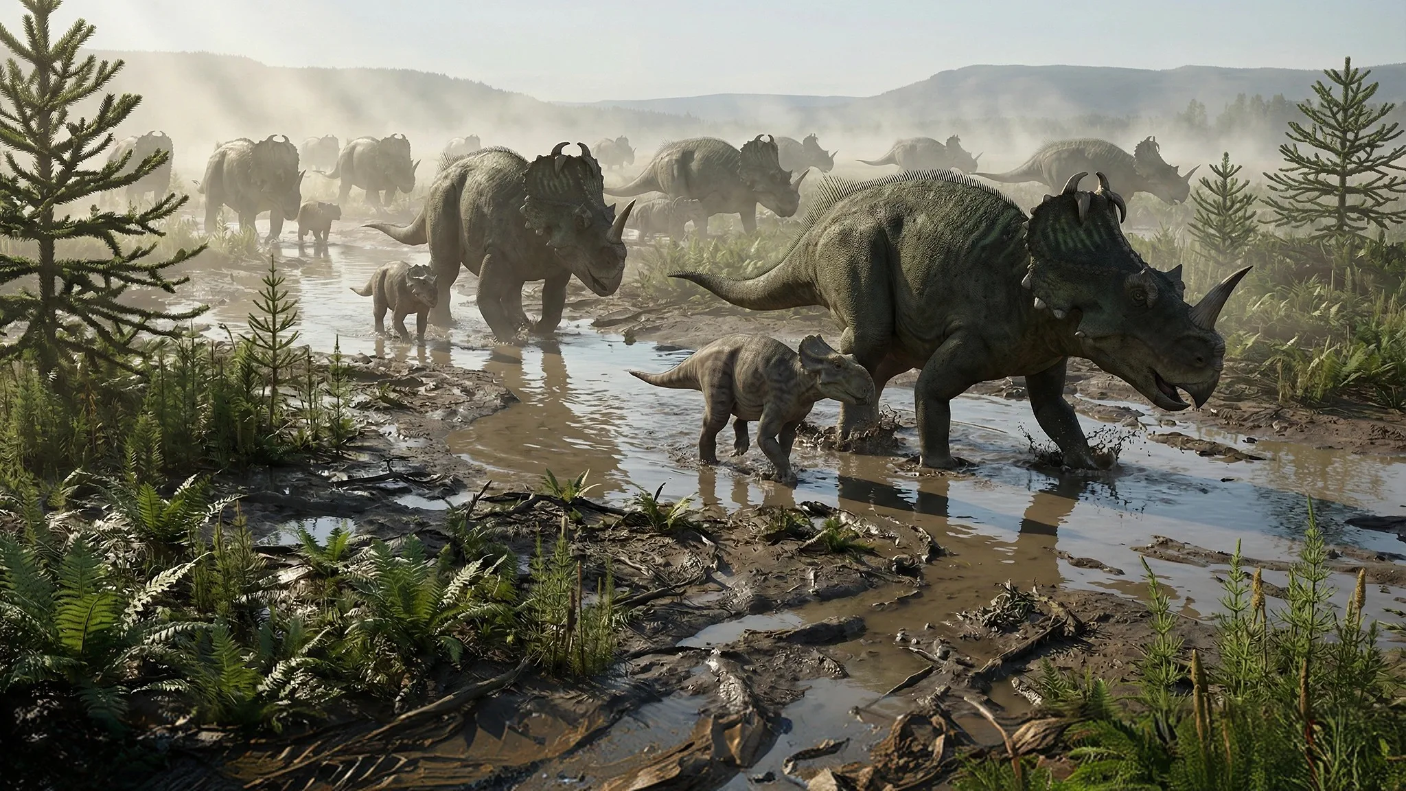 Centrosaurus apertus | Lézard à pointe | 76 à 75 millions d'années