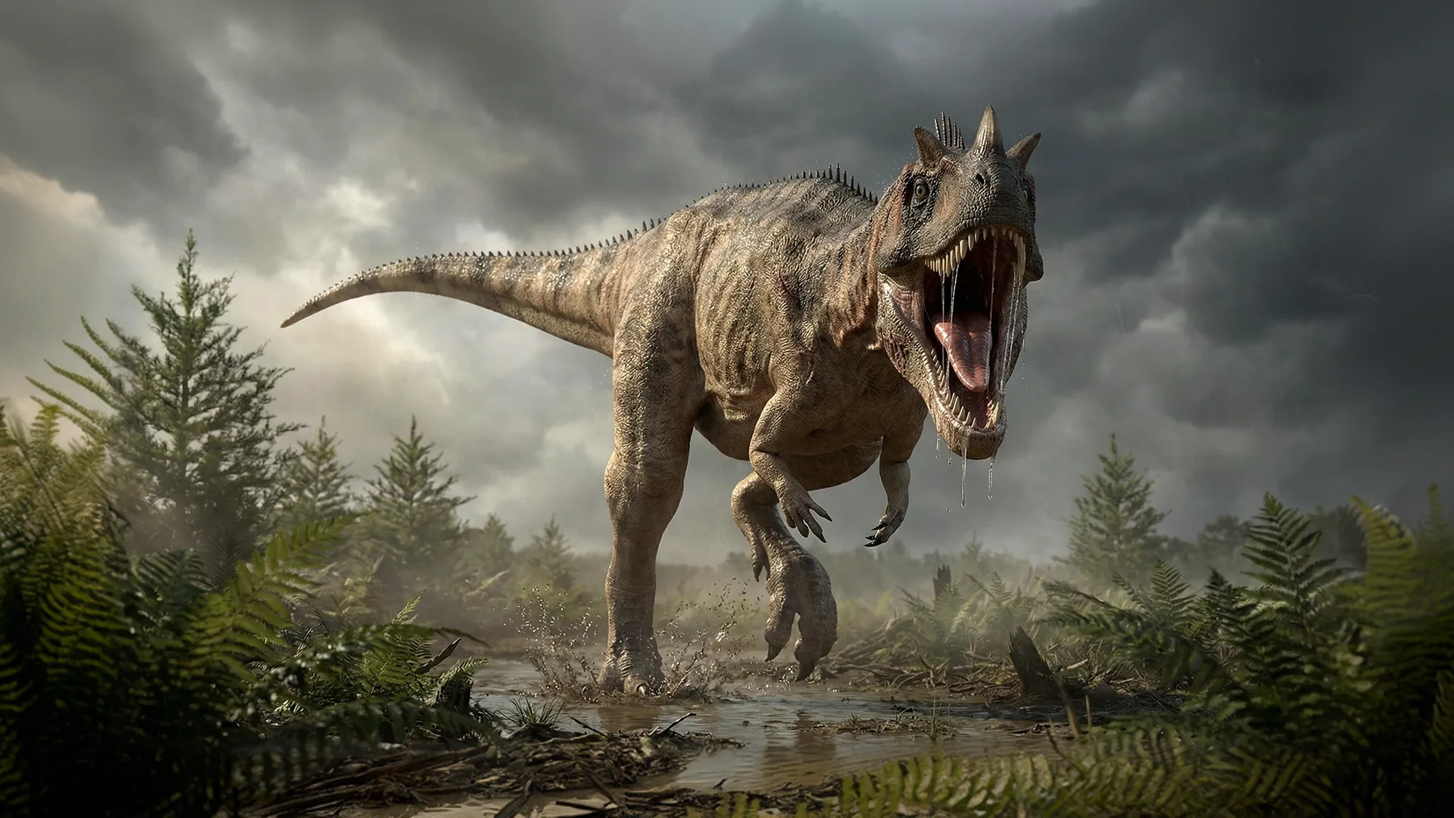 Ceratosaurus nasicornis | Horned lizard | 155 to 144 million years ago