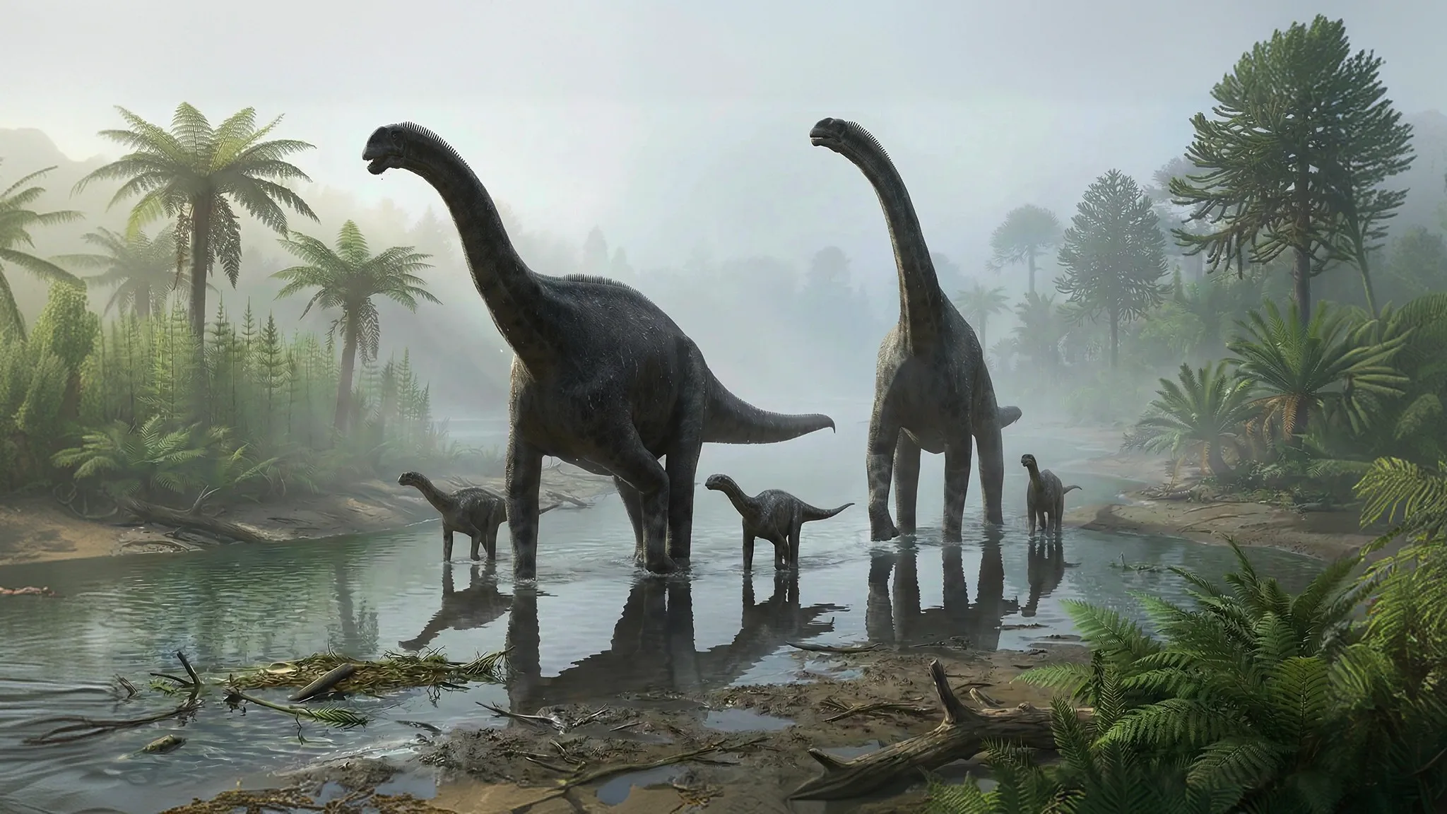 Cetiosaurus oxoniensis | Lagarto de la ballena | 168 a 166 millones de años