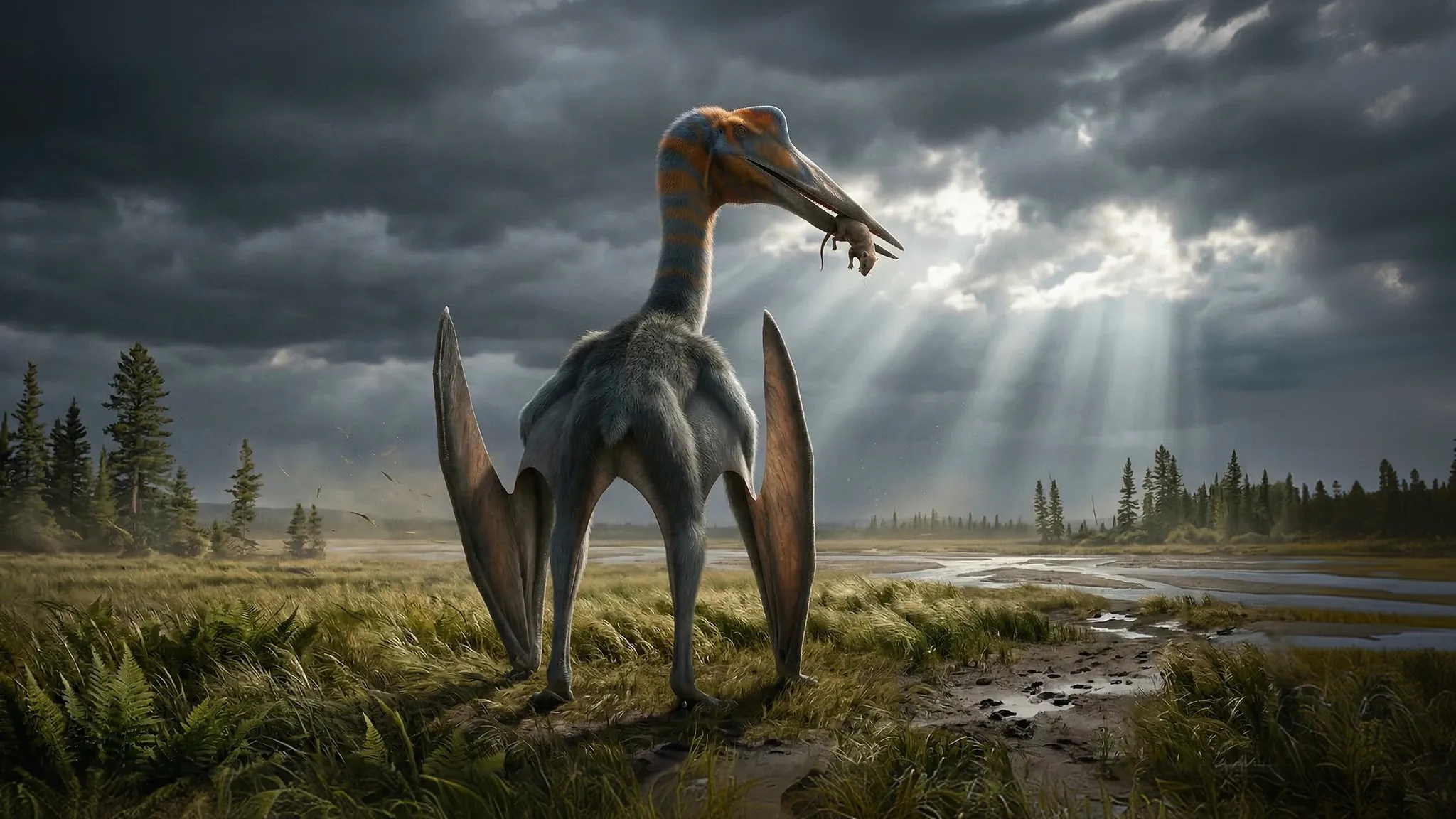 Cryodrakon boreas | Frozen dragon | 76 to 74 million years ago