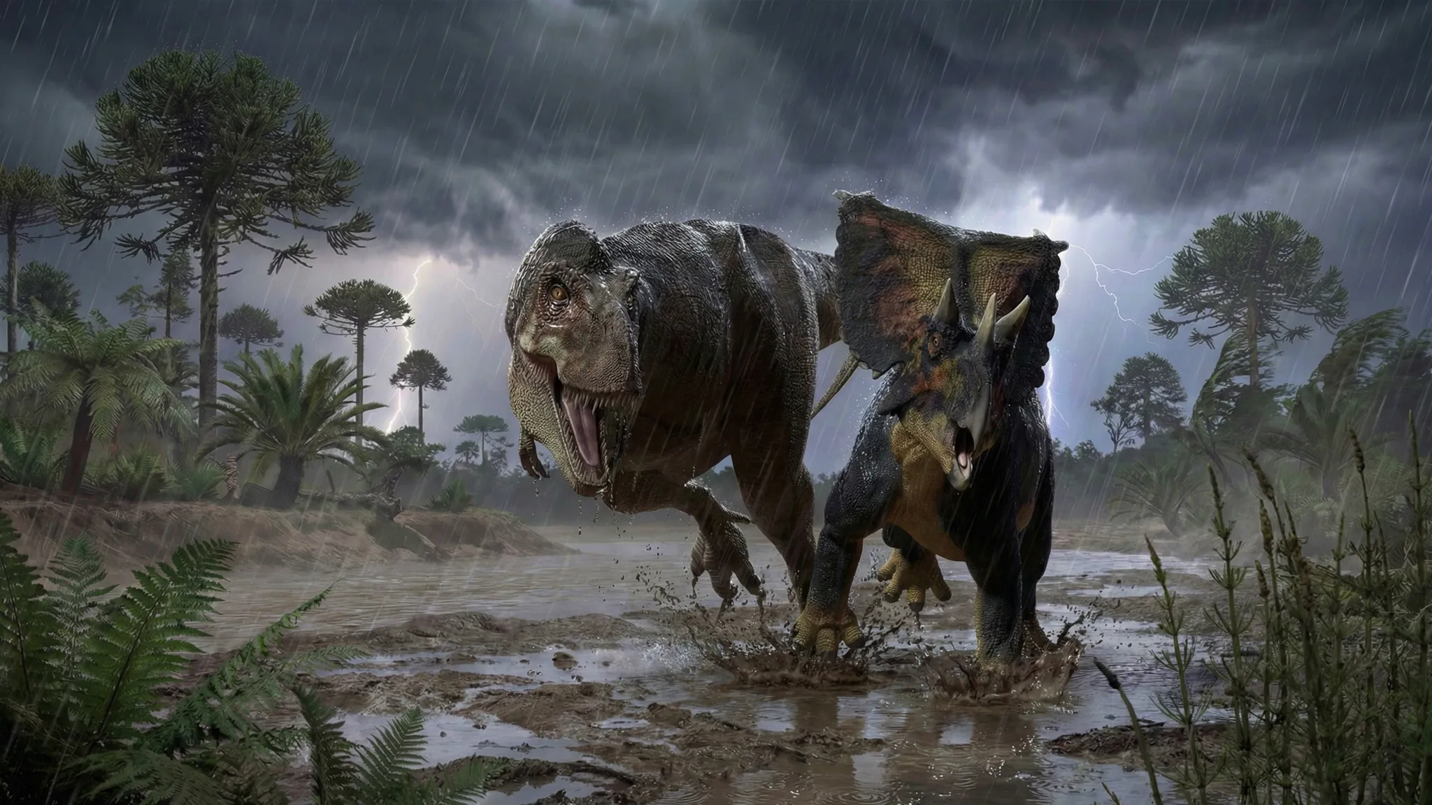 Daspletosaurus torosus | Lézard effrayant | 77 à 74 millions d'années