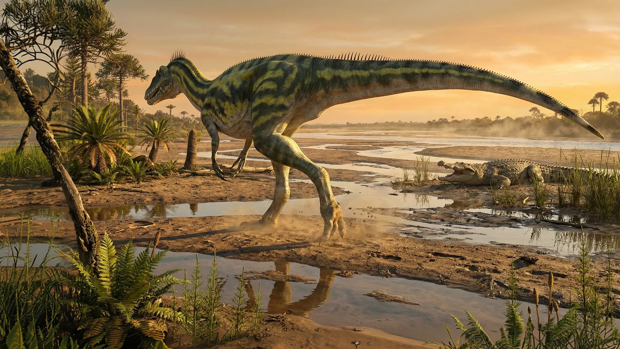 Deltadromeus agilis | Delta runner | 95 to 93 million years ago