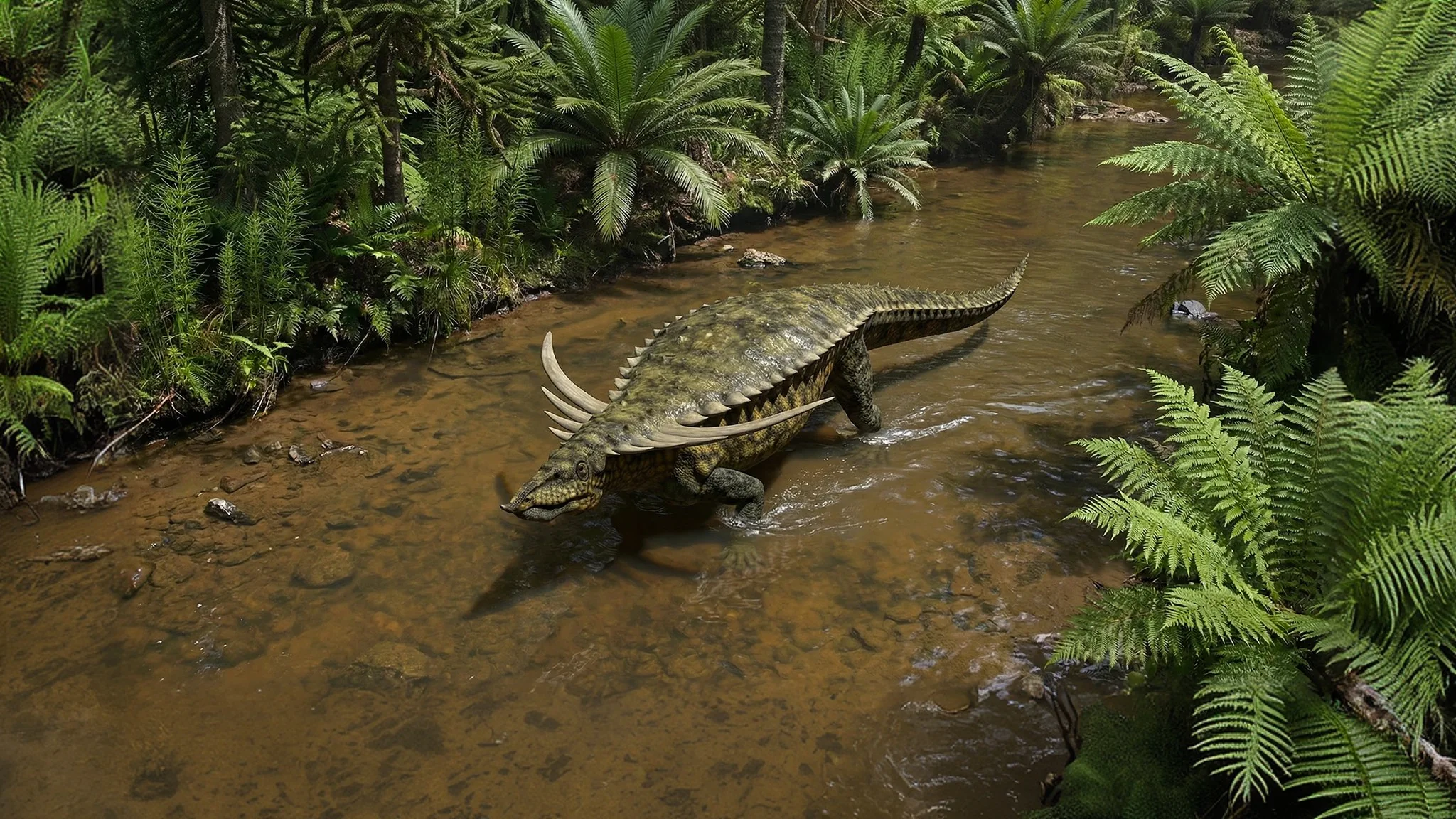 Desmatosuchus haplocerus | Crocodile à plaques | 230 millions d'années