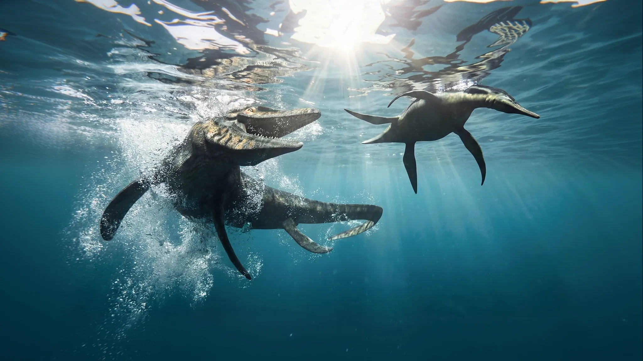 Dolichorhynchops osborni | Long-nosed eye | 80 to 70 million years ago