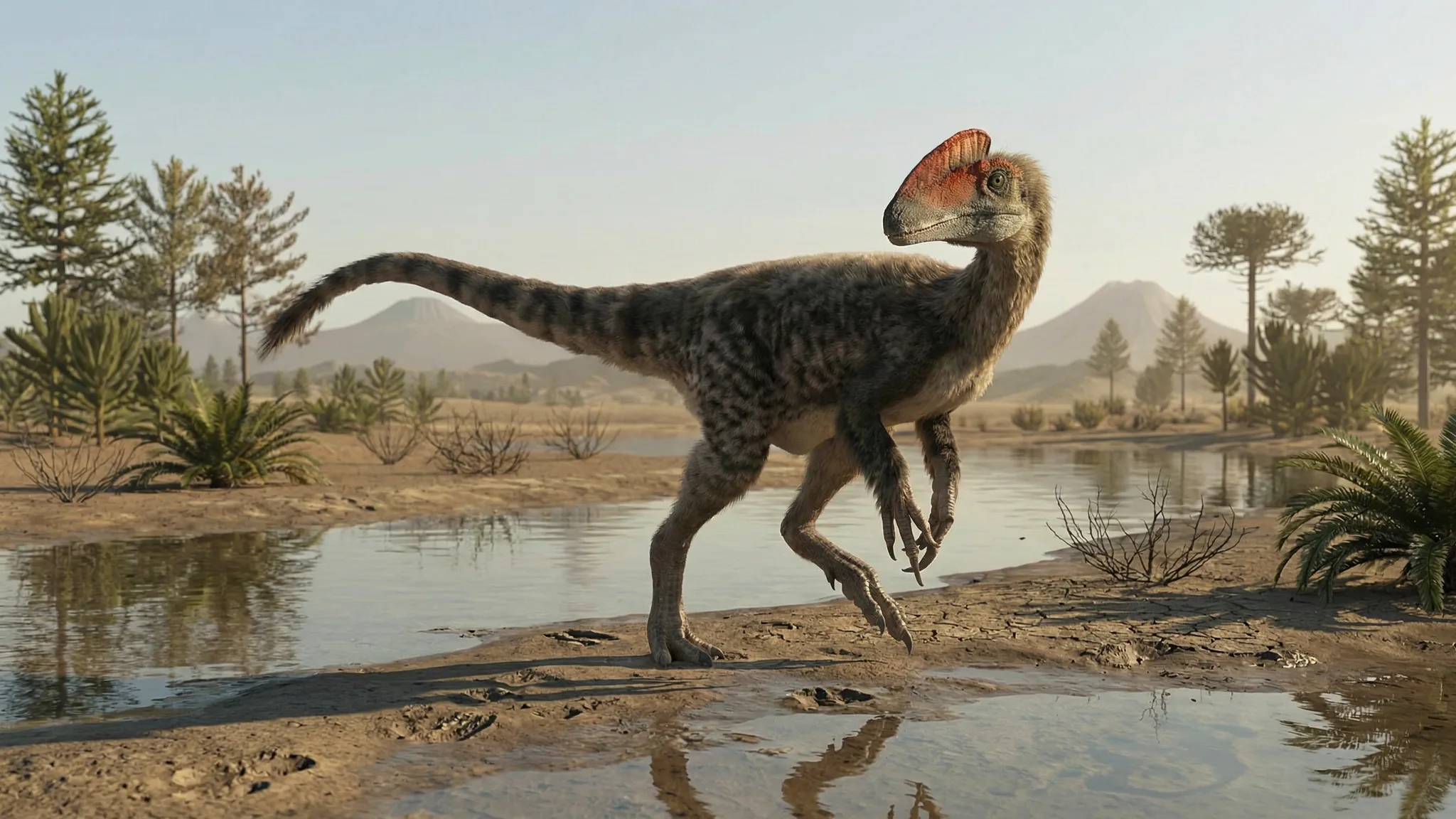 Guanlong wucaii | Dragón coronado | 161 a 155 millones de años