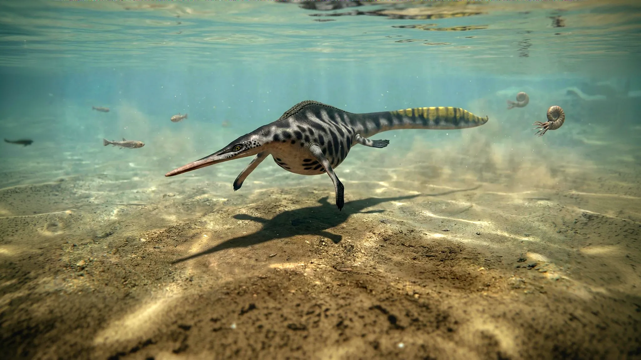 Hupehsuchus nanchangensis | Crocodile de Hubei | 248 à 237 millions d'années