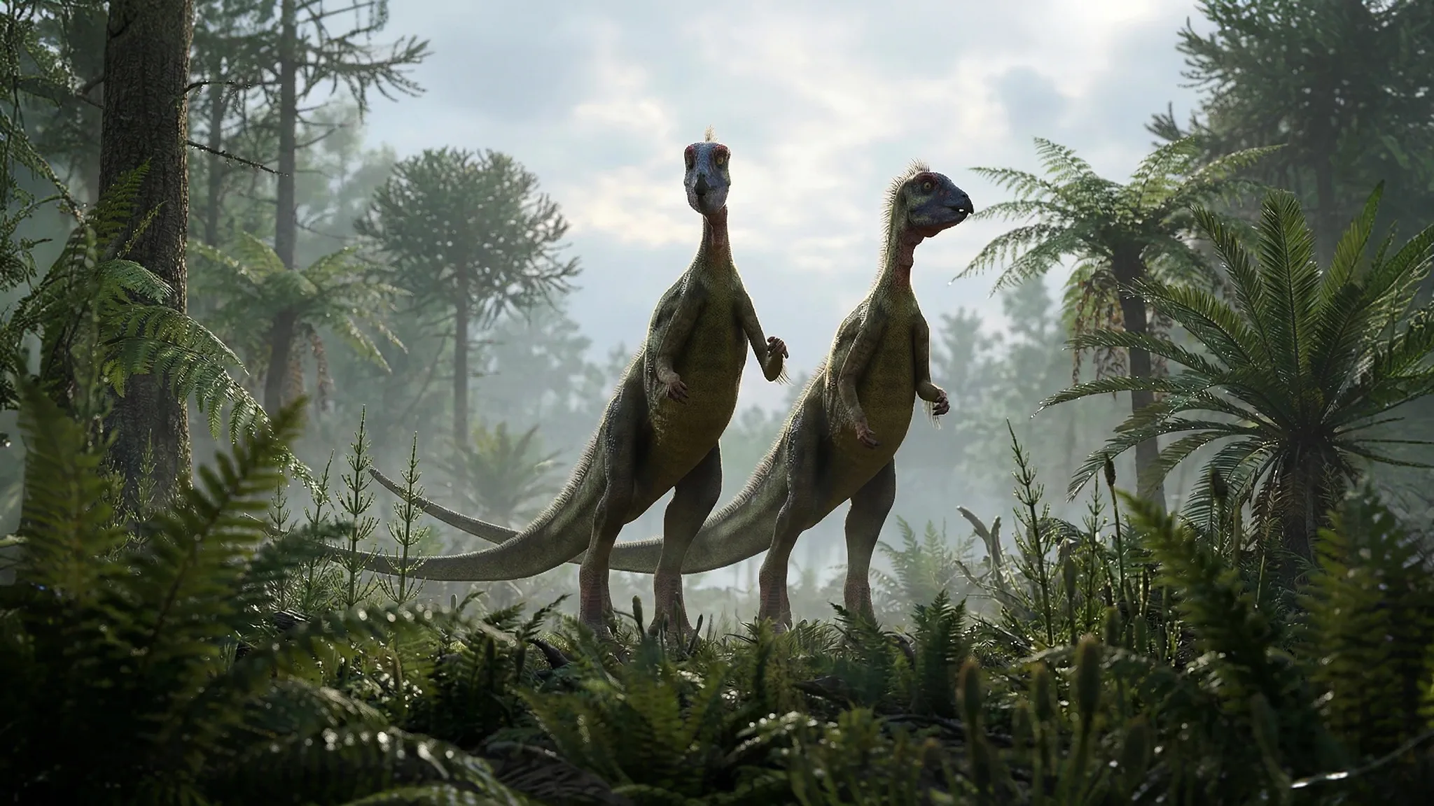 Hypsilophodon foxii | High crested tooth | 125 to 120 million years ago