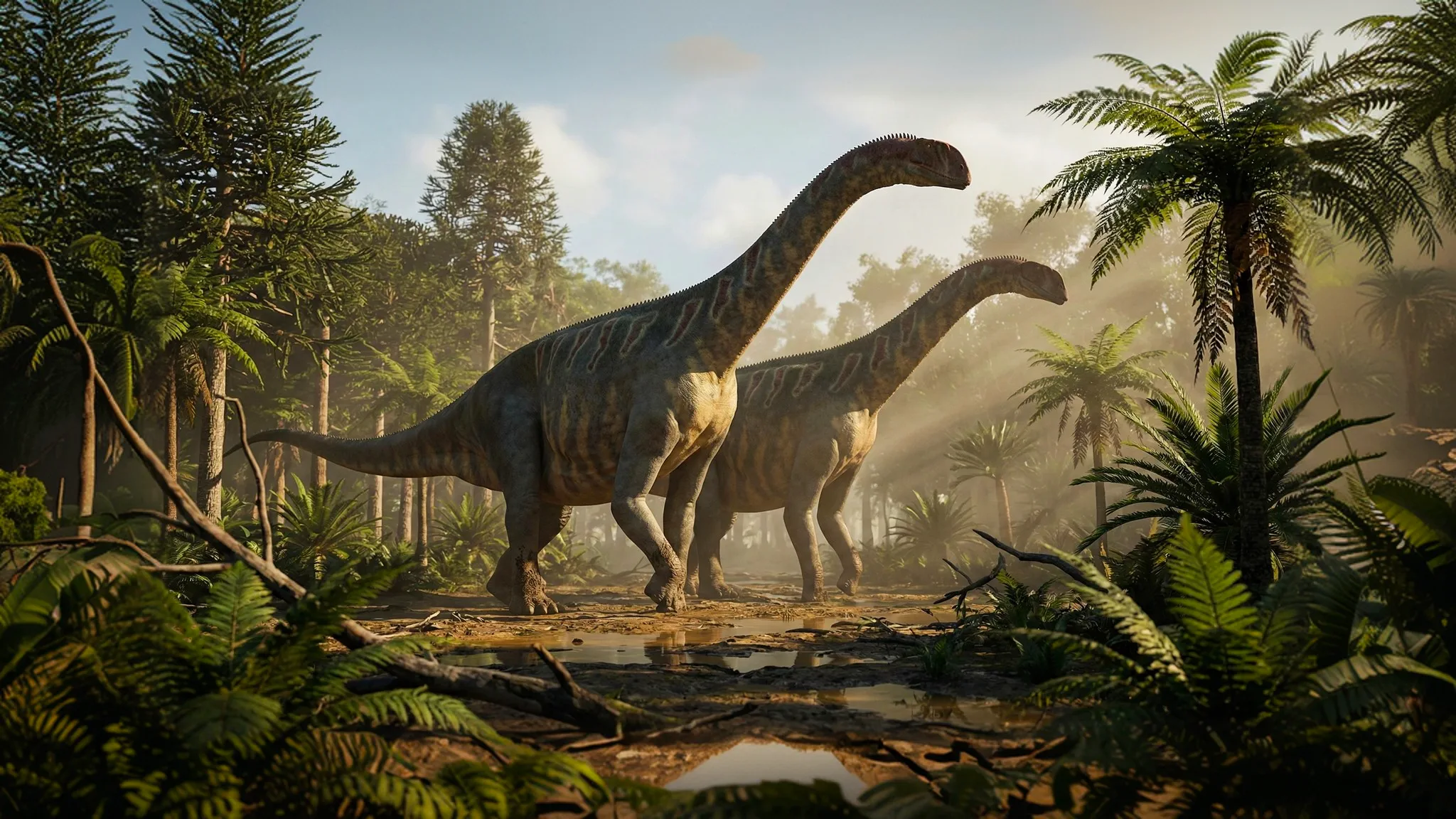 Jobaria tiguidensis | Nom basé sur une légende touareg | 161 à 145 millions d'années