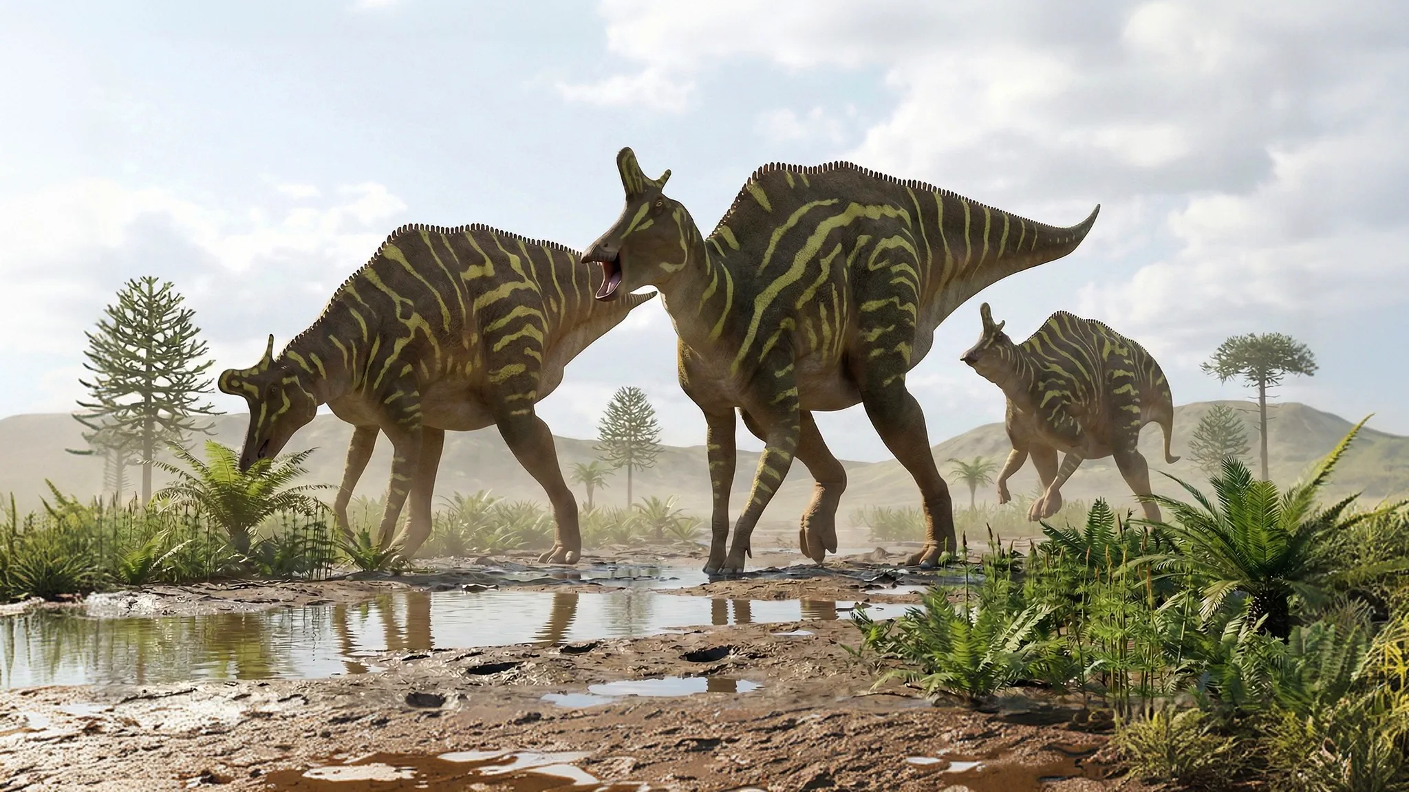 Lambeosaurus lambei | Lézard de Lambe | 76 à 75 millions d'années