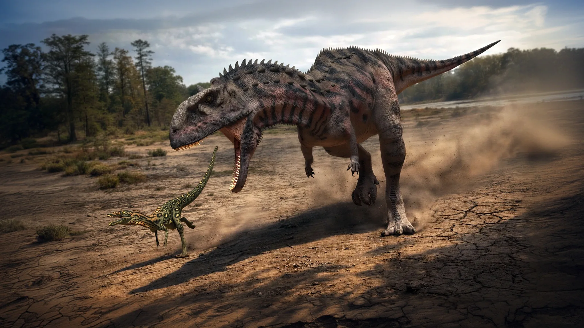 Majungasaurus crenatissimus | Lézard de Mahajanga | 70 à 65 millions d'années