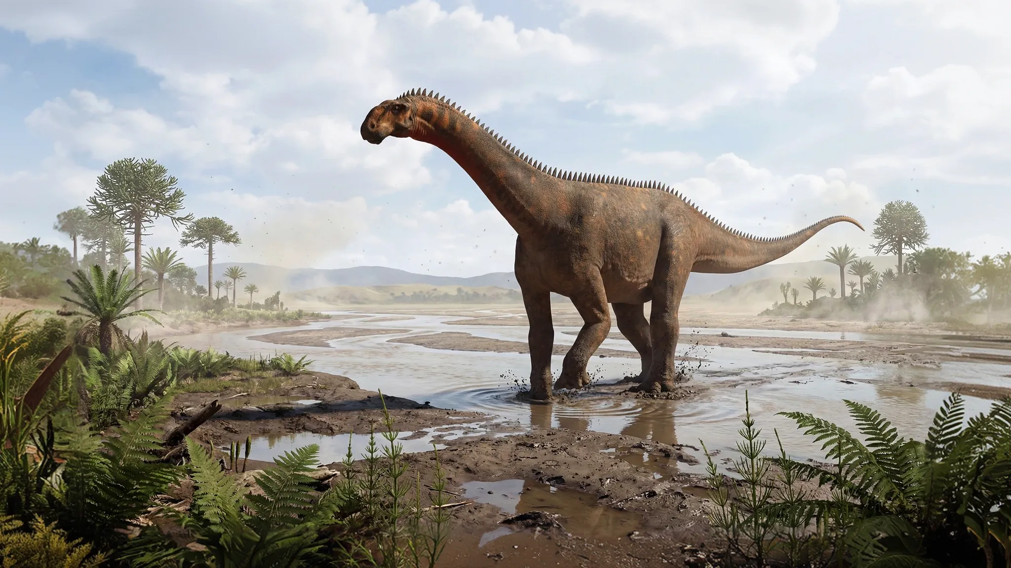 Mierasaurus bobyoungi | Lagarto de Miera | 145 a 133 millones de años