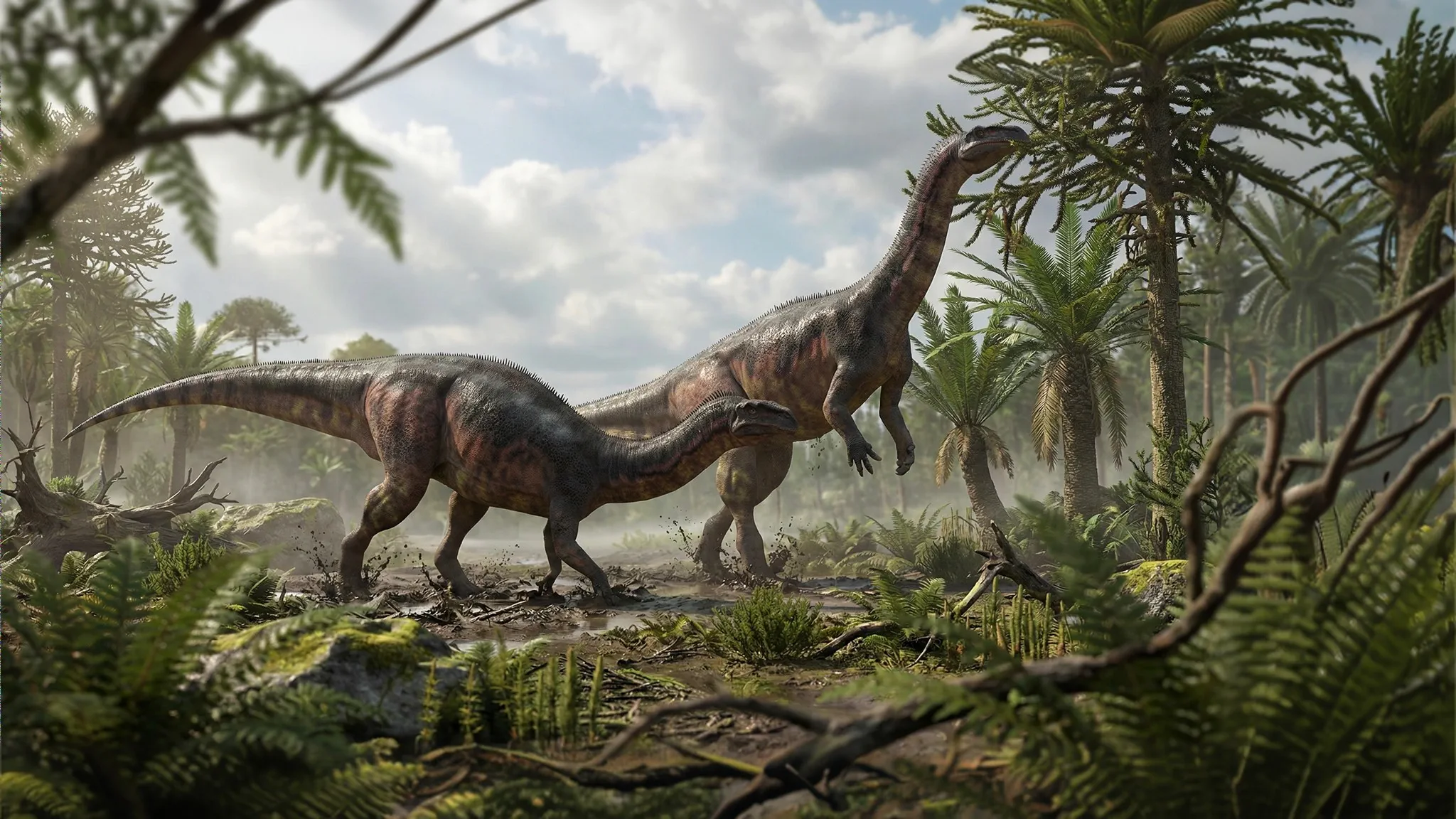 Plateosaurus engelhardti | Lagarto plano | 220 a 208 millones de años