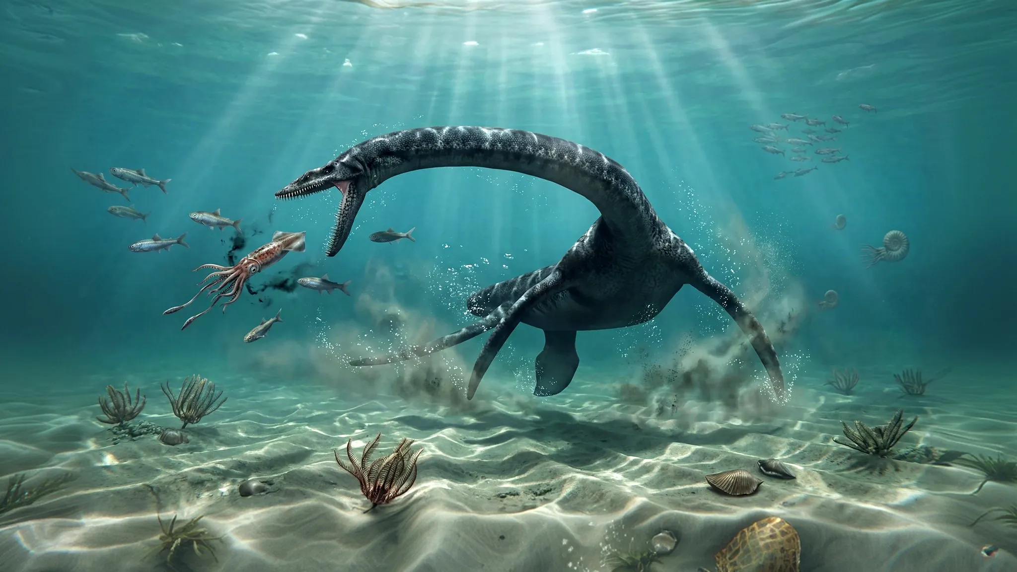 Plesiosaurus dolichodeirus | Lézard proche | 197 à 191 millions d'années