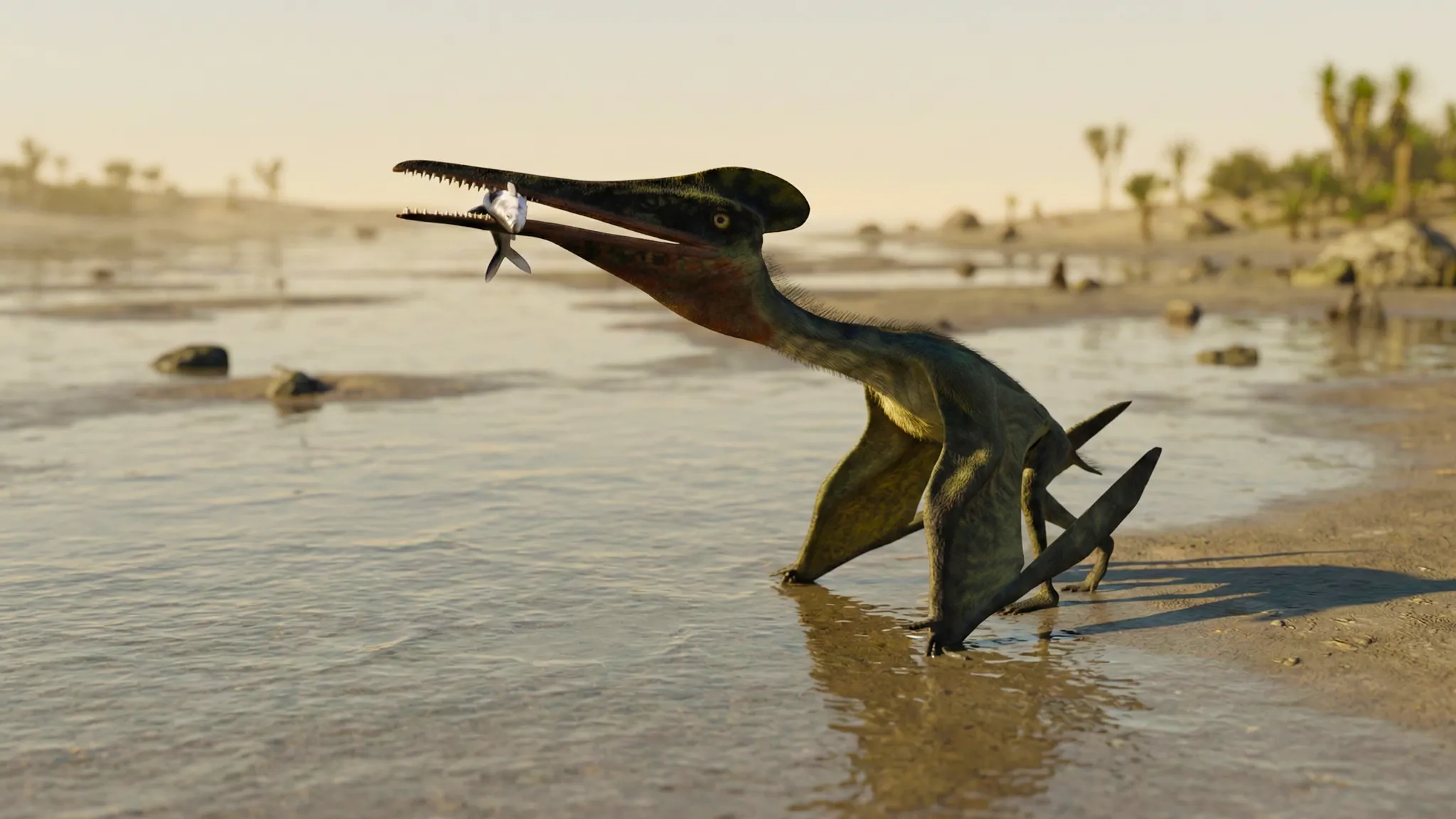 Pterodactylus antiquus | Dedo alado | 150 a 144 millones de años