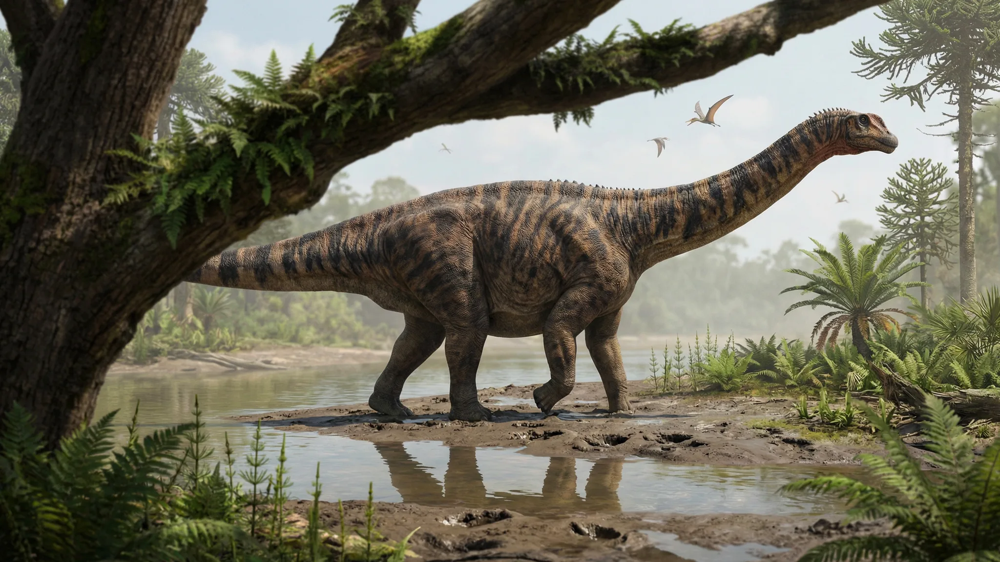 Spinophorosaurus nigerensis | Lézard porteur d'épines | 171 à 165 millions d'années
