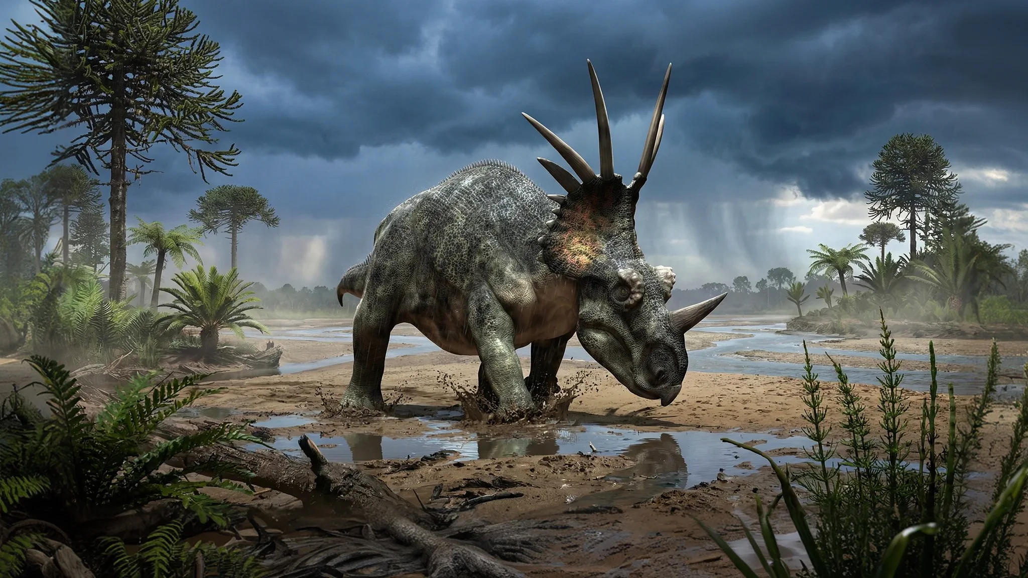 Styracosaurus albertensis | Lagarto espinoso | 76 a 75 millones de años