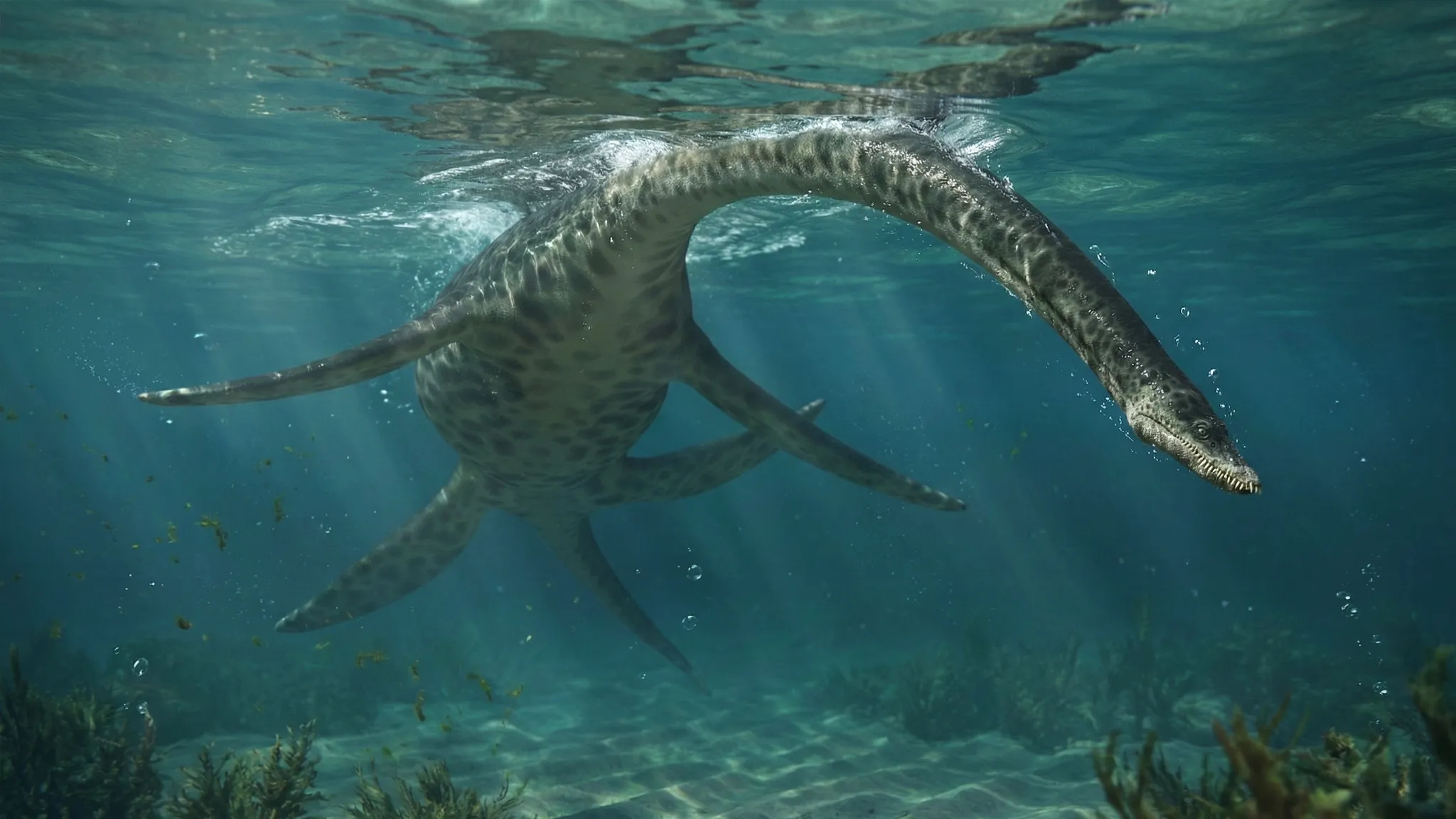 Styxosaurus snowii | Río Estigia lagarto | 85 a 70 millones de años