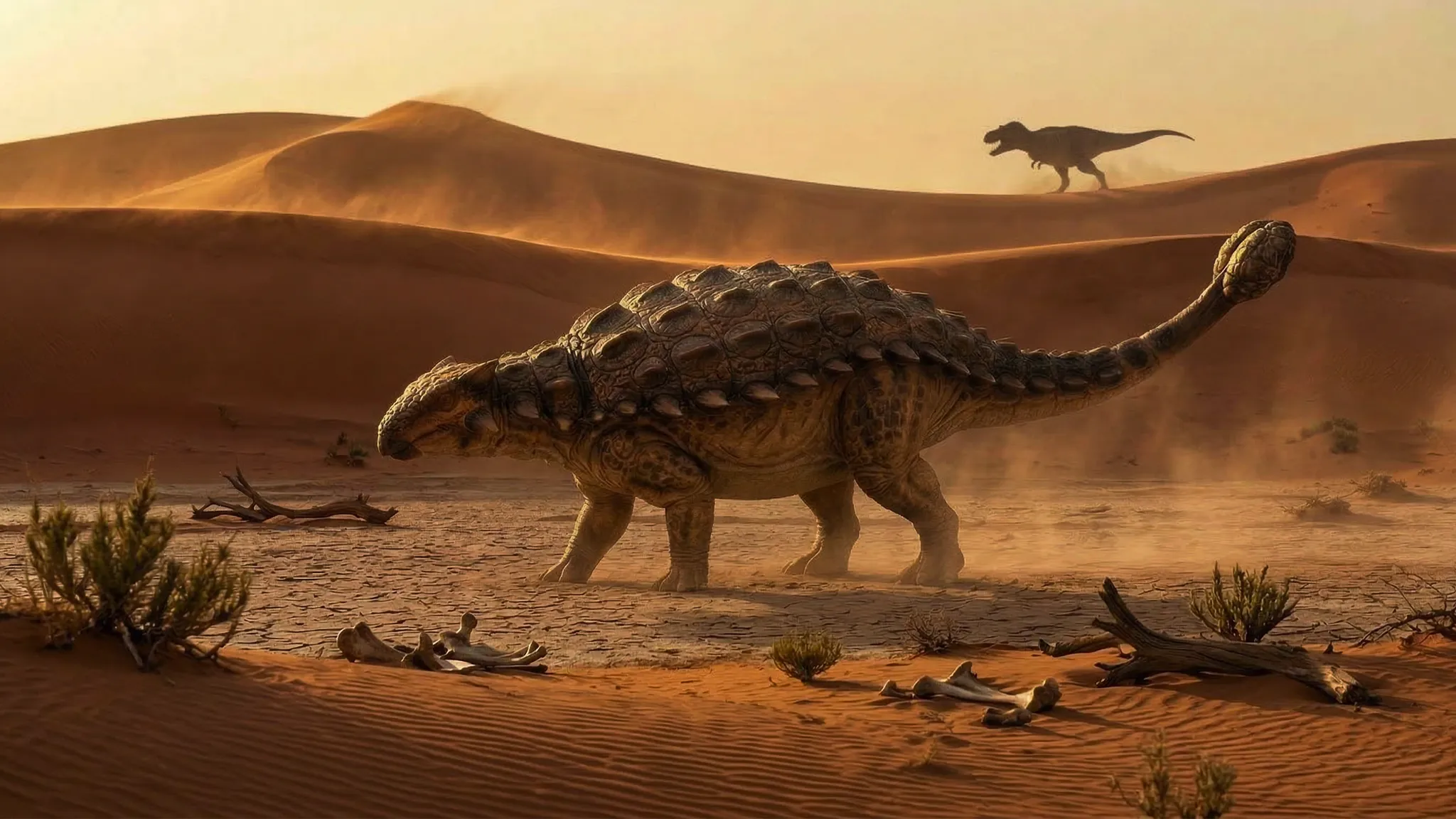 Tarchia gigantea | Cerveau | 75 à 70 millions d'années