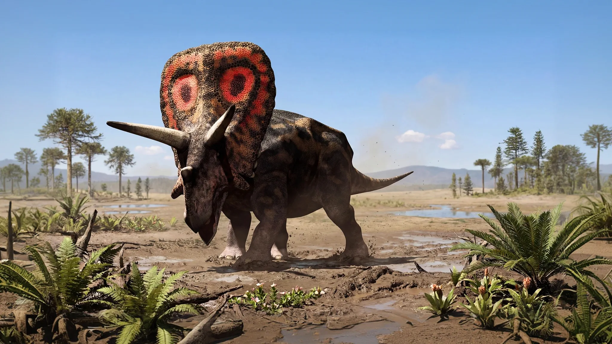 Torosaurus latus | Lagarto perforado | 70 a 65 millones de años