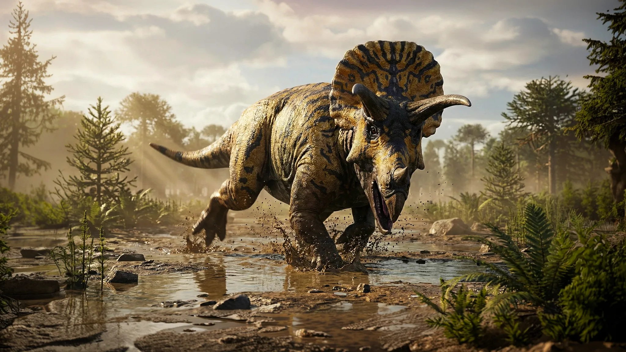 Triceratops horridus | Three horned face | 68 to 66 million years ago