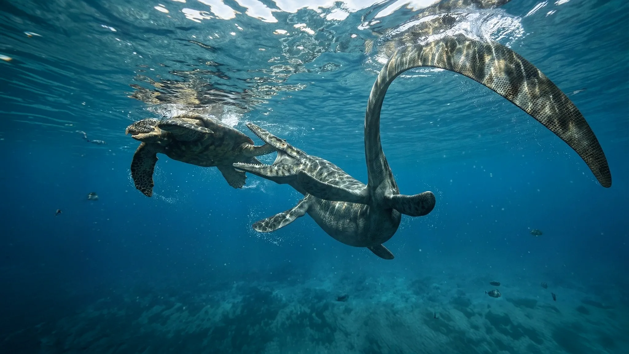 Tylosaurus proriger | Lézard à protubérances | 75 à 66 millions d'années