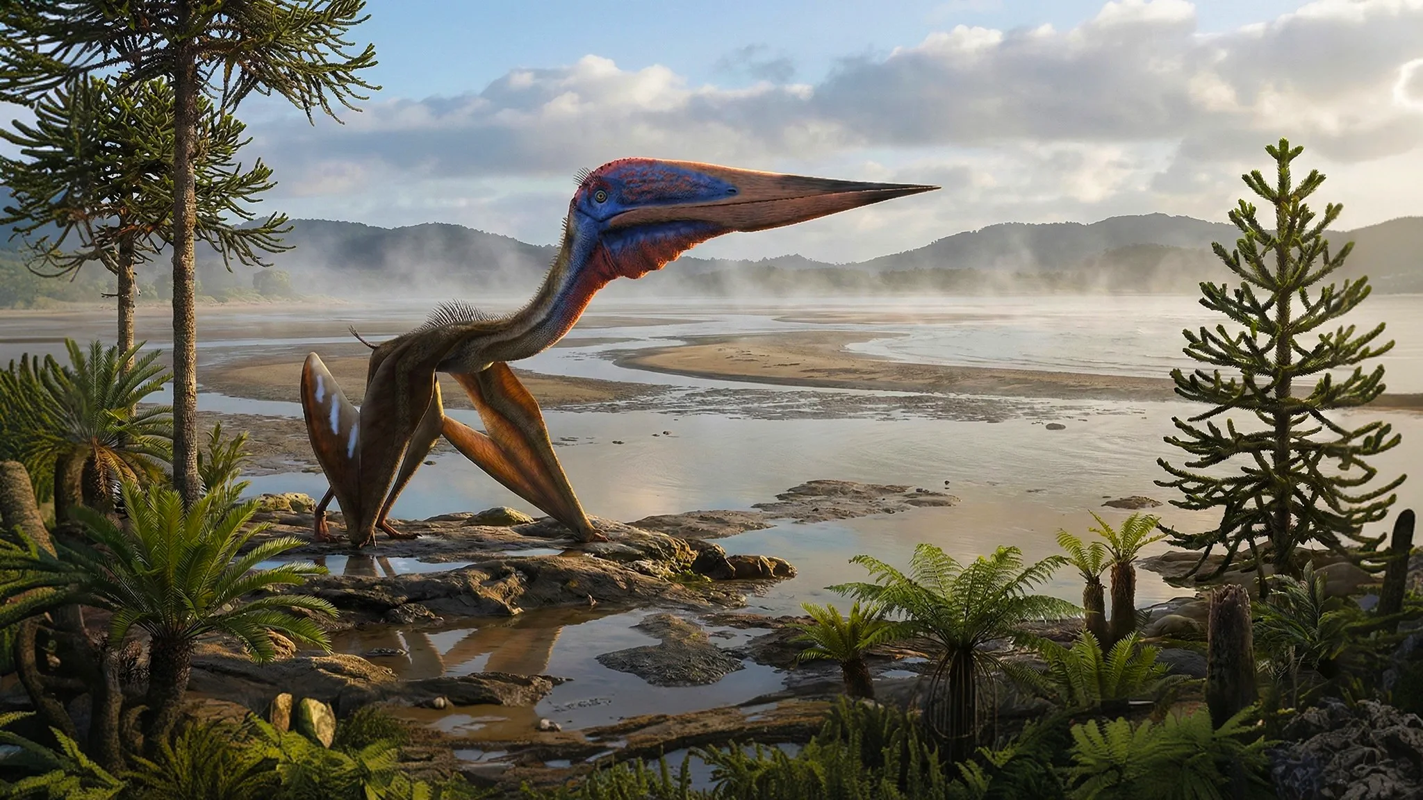 Zhejiangopterus linhaiensis | Aile du Zhejiang | 83 à 70 millions d'années