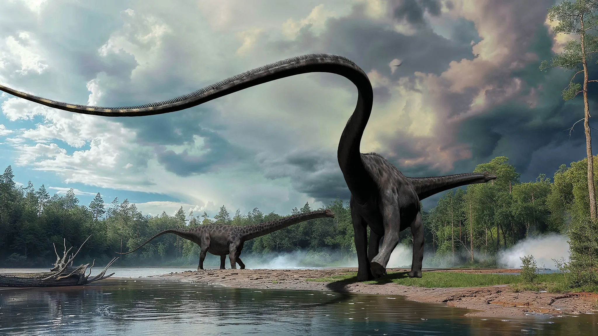 Diplodocus longus - Late Jurassic