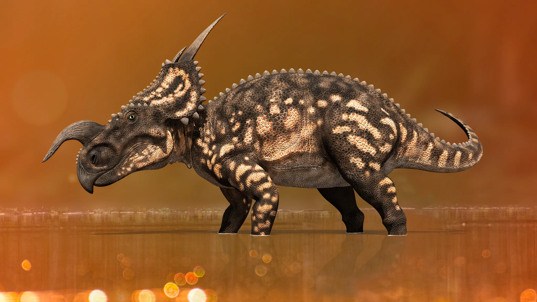 Einiosaurus procurvicornis - Late Cretaceous