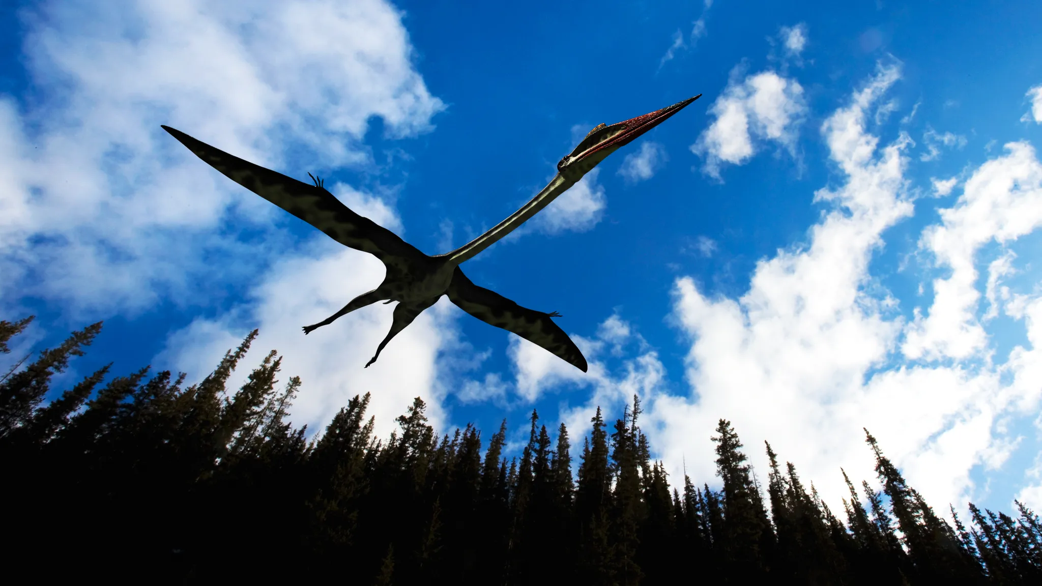 Quetzalcoatlus northropi - Late Cretaceous