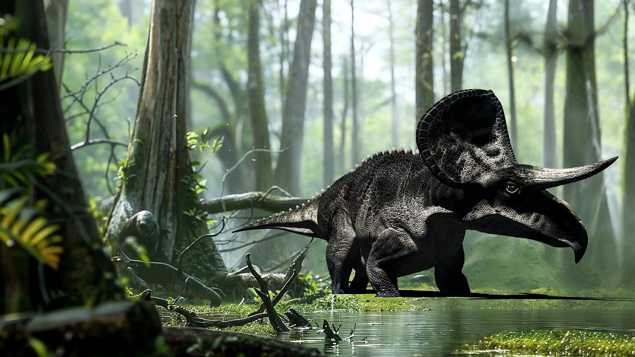 Zuniceratops christopheri - Middle Cretaceous